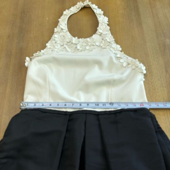 Sachin & Babi Dominique Gown Women's  Size 14 Floral Applique Pleated‎ A-Line - Picture 6 of 10